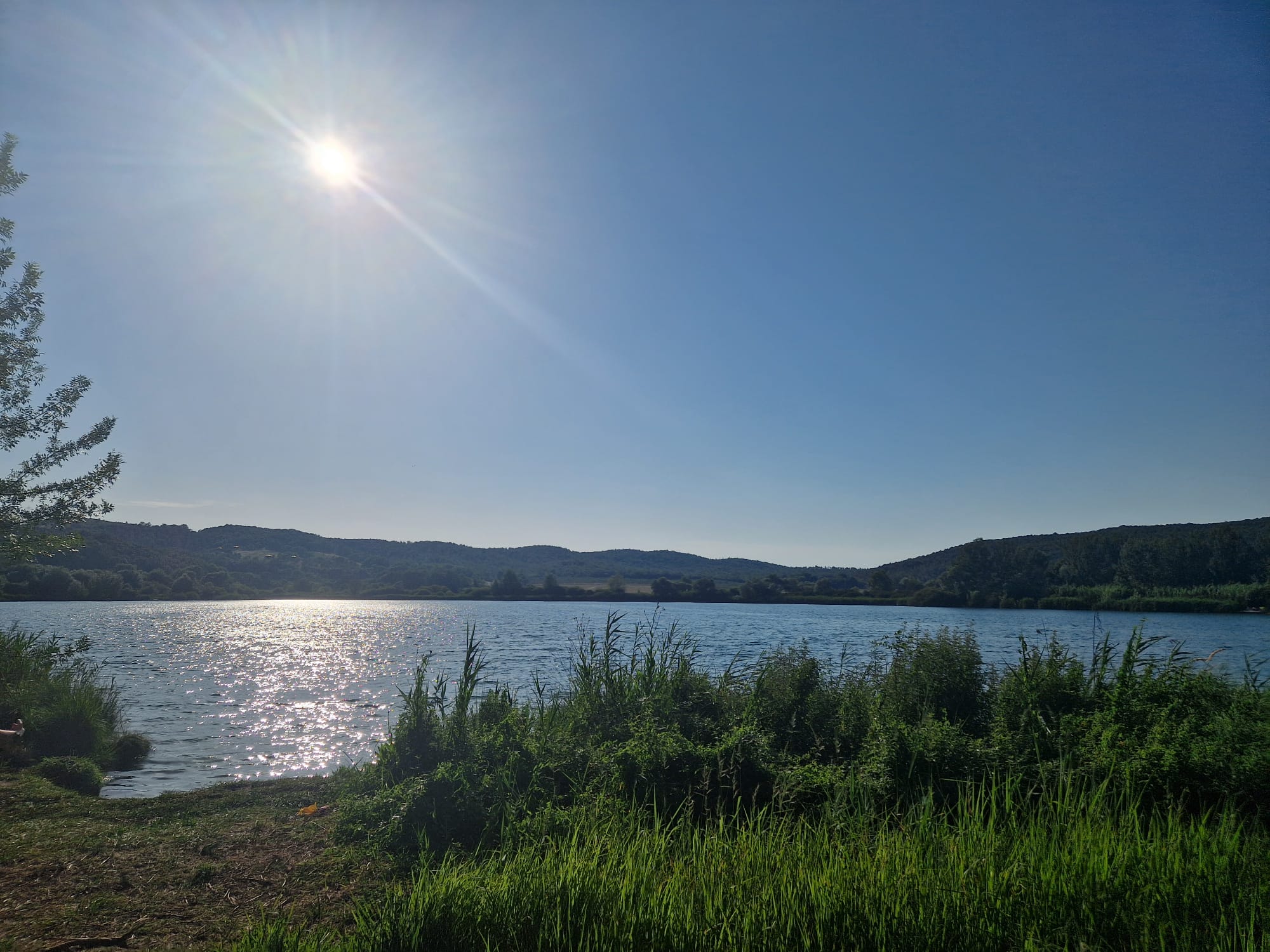 Sich dem großen Licht anschließen