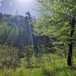 Kurzbehandlung 30 Minuten