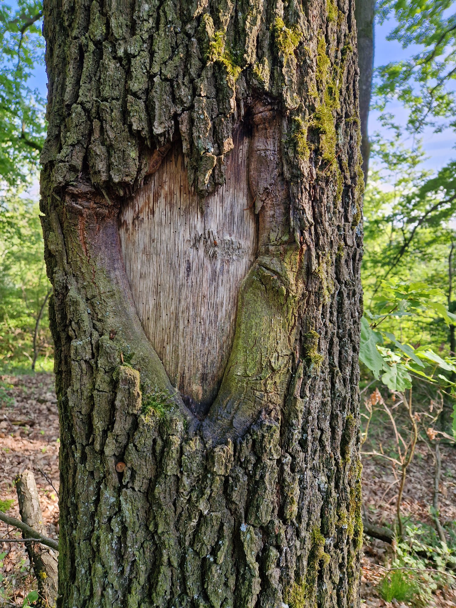 Quelle der Liebe, wo bist Du?